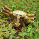 Illustration for article titled Total emGundam/em Freedom Leads to Crazy Customizations